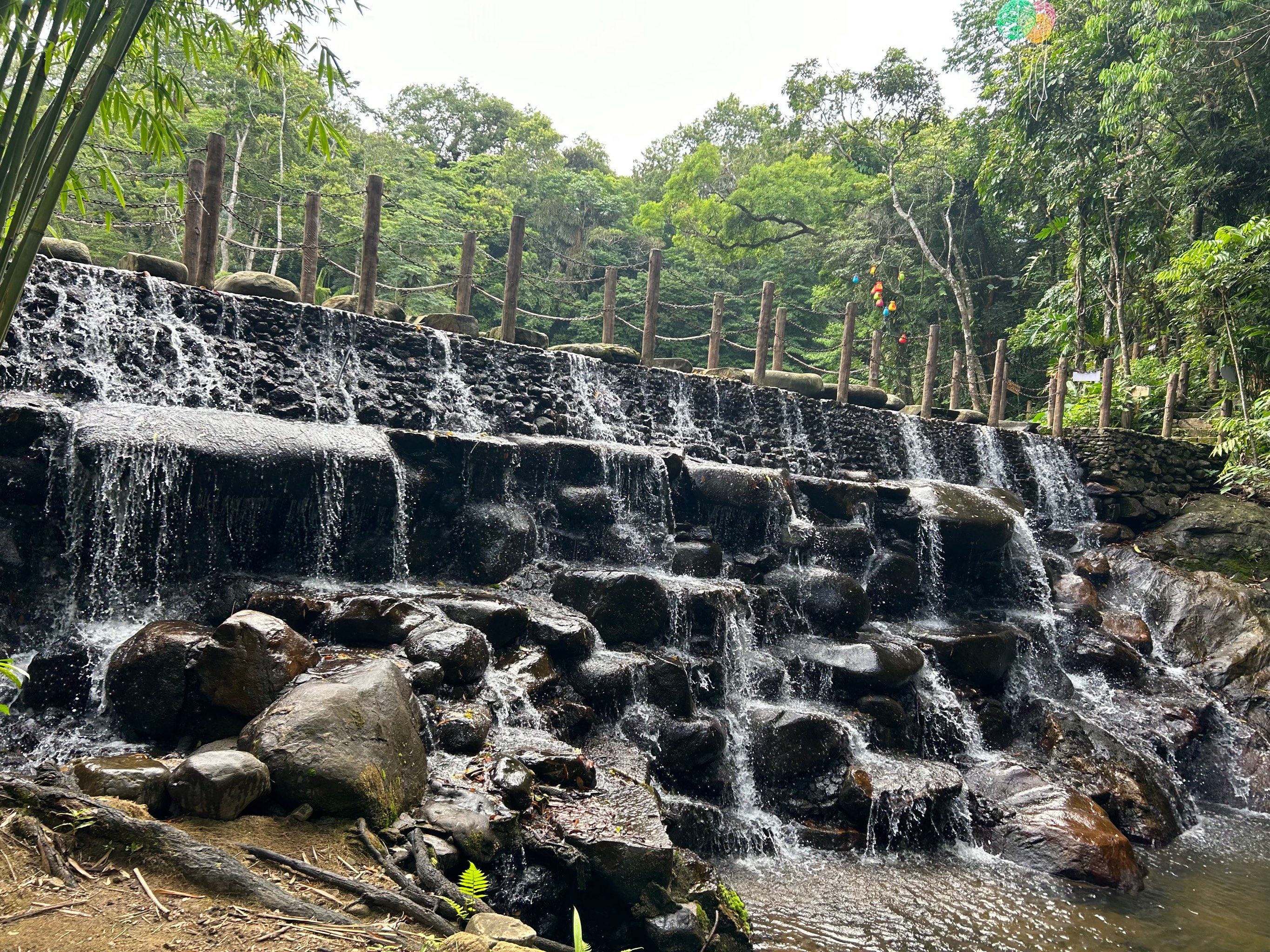 琼中之行-百花岭热带雨林文化旅游区