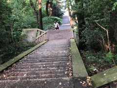 -MAMACHA妈妈茶(岳麓山店)