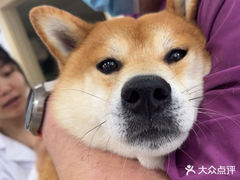 -宠颐生宠物医院·心肾内科·猫专科诊疗中心宠巢店