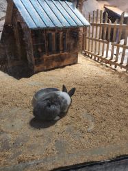 -酷嗒动物文化乐园(cutezoo西溪乐天城店)