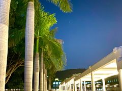 -厦门国家会计学院