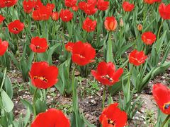 -长春公园(普阳街道)