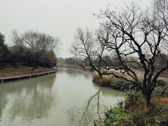 -西溪国家湿地公园