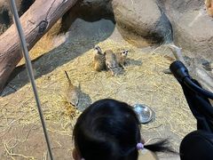 -苏州海洋馆