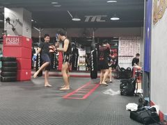 -TFC 纯泰拳馆MuayThai