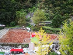 -古尔沟华美达温泉度假酒店