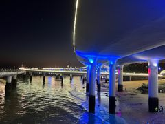 -演武大桥观景平台