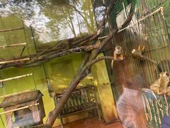 -荆州中山公园动物园