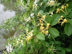 -白塘生态植物园