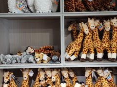 -ZOO COFFEE动物园咖啡(红山森林动物园店)