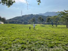 -风云岭森林公园