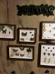 -Zoolung Zoolung动物主题公园(海信广场店)