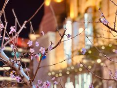 -王府井步行街
