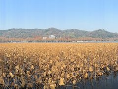 -楼外楼(西湖景区孤山路店)