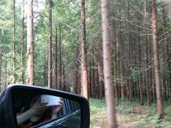 -黄海国家森林公园