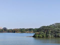 -海珠湖公园