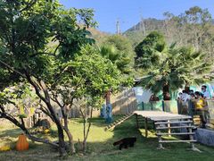 -泉州海丝野生动物世界