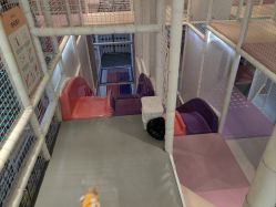 -奈尔宝·儿童乐园·亲子餐厅(华采天地店)