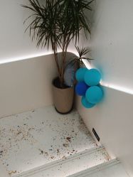 -LJOY丽锦造型·烫发染发