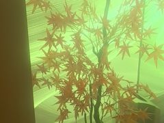 -水云空涧·沐足·采耳·按摩·SPA影院(琶洲店)