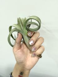 -KI日式美甲美睫馆