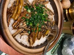 -凤来茶餐·粤菜馆(珠江新城店)