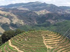 -文雅轩茶叶(锦和越界田林坊店)