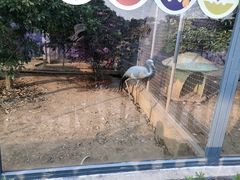 -无锡动物园·太湖欢乐园