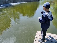 -石家庄市植物园