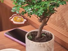 -CURRY YA 熟成咖哩專門店(深圳湾万象城店)