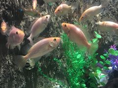 -多彩贵州城极地海洋世界