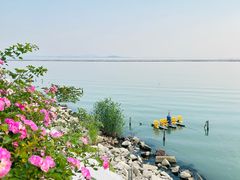 -贡湖湾湿地公园