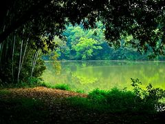 -南宁良凤江国家森林公园