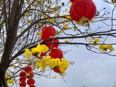 -洲头咀公园