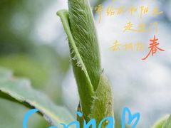 -德迹斋禅意文化茶馆·茶空间·商务洽谈•宴席(桃园店)