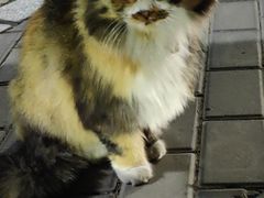 -万龙洲海鲜(南新仓店)