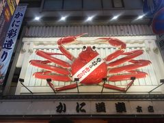 -蟹道乐(道顿堀本店)