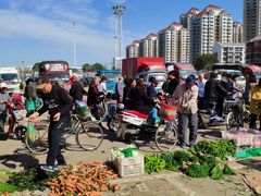 -何庄子阿米玛玛农产品批发市场