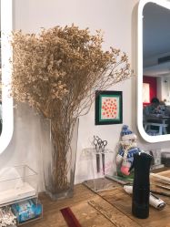 -净漪造型 PURE RIPPLE