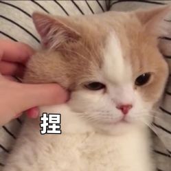 点击看大图 -泽璞堂美发沙龙