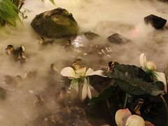 -伴山茶苑·围炉煮茶