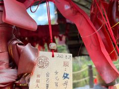 -大围山国家森林公园