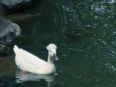 -镇江中国醋文化博物馆