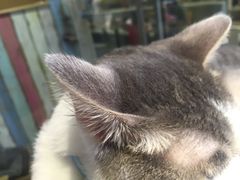 -小时光咖啡馆(开森度假森林店)