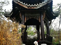 -东昌湖风景区