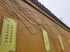 -西园戒幢律寺