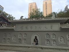 -西安大兴善寺