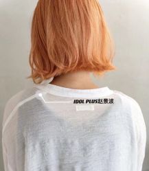 -IDOL-PLUS