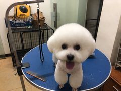 -沐沐家宠物(成寿寺店)