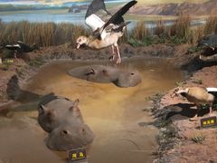 -陕西自然博物馆